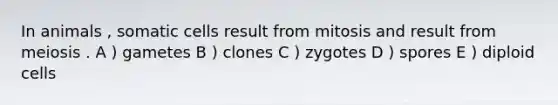 In animals , somatic cells result from mitosis and result from meiosis . A ) gametes B ) clones C ) zygotes D ) spores E ) diploid cells