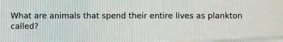 What are animals that spend their entire lives as plankton called?