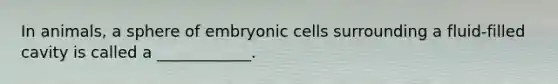 In animals, a sphere of embryonic cells surrounding a fluid-filled cavity is called a ____________.