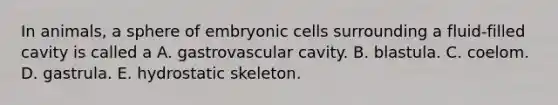 In animals, a sphere of embryonic cells surrounding a fluid-filled cavity is called a A. gastrovascular cavity. B. blastula. C. coelom. D. gastrula. E. hydrostatic skeleton.