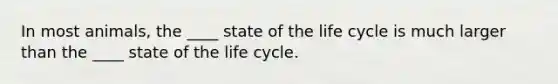 In most animals, the ____ state of the life cycle is much larger than the ____ state of the life cycle.