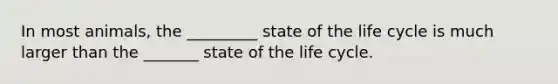 In most animals, the _________ state of the life cycle is much larger than the _______ state of the life cycle.