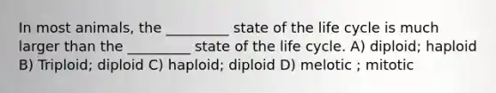 In most animals, the _________ state of the life cycle is much larger than the _________ state of the life cycle. A) diploid; haploid B) Triploid; diploid C) haploid; diploid D) melotic ; mitotic