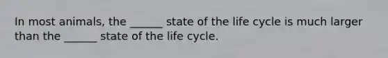 In most animals, the ______ state of the life cycle is much larger than the ______ state of the life cycle.