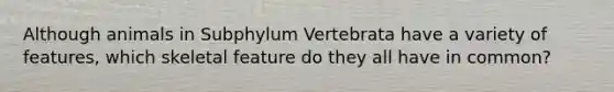 Although animals in Subphylum Vertebrata have a variety of features, which skeletal feature do they all have in common?