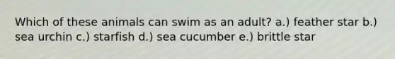 Which of these animals can swim as an adult? a.) feather star b.) sea urchin c.) starfish d.) sea cucumber e.) brittle star
