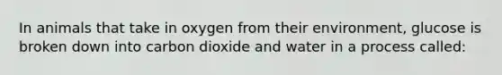 In animals that take in oxygen from their environment, glucose is broken down into carbon dioxide and water in a process called: