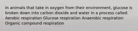 In animals that take in oxygen from their environment, glucose is broken down into carbon dioxide and water in a process called: Aerobic respiration Glucose respiration Anaerobic respiration Organic compound respiration