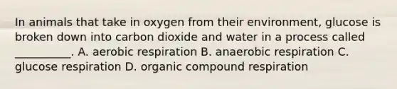 In animals that take in oxygen from their environment, glucose is broken down into carbon dioxide and water in a process called __________. A. aerobic respiration B. anaerobic respiration C. glucose respiration D. organic compound respiration