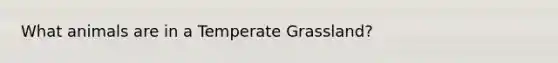 What animals are in a Temperate Grassland?