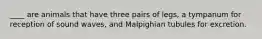 ____ are animals that have three pairs of legs, a tympanum for reception of sound waves, and Malpighian tubules for excretion.