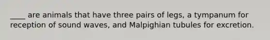 ____ are animals that have three pairs of legs, a tympanum for reception of sound waves, and Malpighian tubules for excretion.