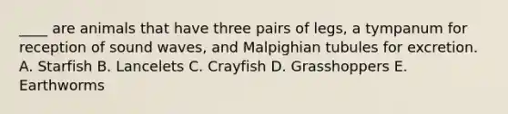 ____ are animals that have three pairs of legs, a tympanum for reception of sound waves, and Malpighian tubules for excretion. A. Starfish B. Lancelets C. Crayfish D. Grasshoppers E. Earthworms