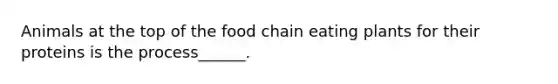 Animals at the top of the food chain eating plants for their proteins is the process______.