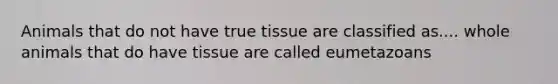 Animals that do not have true tissue are classified as.... whole animals that do have tissue are called eumetazoans