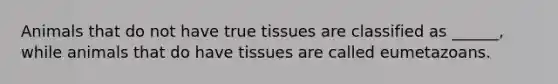 Animals that do not have true tissues are classified as ______, while animals that do have tissues are called eumetazoans.