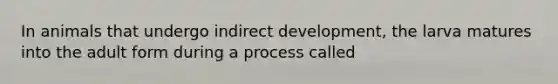 In animals that undergo indirect development, the larva matures into the adult form during a process called