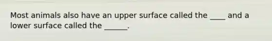 Most animals also have an upper surface called the ____ and a lower surface called the ______.