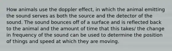 How animals use the doppler effect, in which the animal emitting the sound serves as both the source and the detector of the sound. The sound bounces off of a surface and is reflected back to the animal and the amount of time that this takes/ the change in frequency of the sound can be used to determine the position of things and speed at which they are moving.