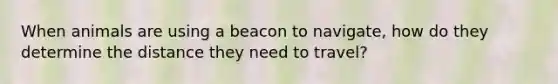 When animals are using a beacon to navigate, how do they determine the distance they need to travel?