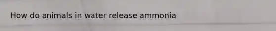 How do animals in water release ammonia