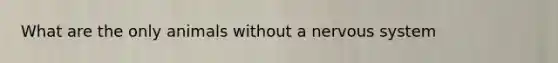 What are the only animals without a nervous system