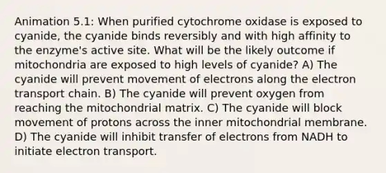 Animation 5.1: When purified cytochrome oxidase is exposed to cyanide, the cyanide binds reversibly and with high affinity to the enzyme's active site. What will be the likely outcome if mitochondria are exposed to high levels of cyanide? A) The cyanide will prevent movement of electrons along the electron transport chain. B) The cyanide will prevent oxygen from reaching the mitochondrial matrix. C) The cyanide will block movement of protons across the inner mitochondrial membrane. D) The cyanide will inhibit transfer of electrons from NADH to initiate electron transport.