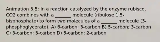 Animation 5.5: In a reaction catalyzed by the enzyme rubisco, CO2 combines with a _______ molecule (ribulose 1,5-bisphosphate) to form two molecules of a _______ molecule (3-phosphoglycerate). A) 6-carbon; 3-carbon B) 5-carbon; 3-carbon C) 3-carbon; 5-carbon D) 5-carbon; 2-carbon