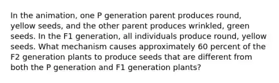 In the animation, one P generation parent produces round, yellow seeds, and the other parent produces wrinkled, green seeds. In the F1 generation, all individuals produce round, yellow seeds. What mechanism causes approximately 60 percent of the F2 generation plants to produce seeds that are different from both the P generation and F1 generation plants?