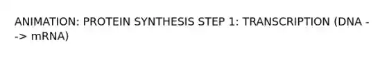 ANIMATION: PROTEIN SYNTHESIS STEP 1: TRANSCRIPTION (DNA --> mRNA)