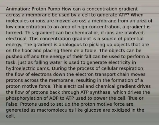 Animation: Proton Pump How can a concentration gradient across a membrane be used by a cell to generate ATP? When molecules or ions are moved across a membrane from an area of low concentration to an area of high concentration, a gradient is formed. This gradient can be chemical or, if ions are involved, electrical. This concentration gradient is a source of potential energy. The gradient is analogous to picking up objects that are on the floor and placing them on a table. The objects can be pushed off and the energy of their fall can be used to perform a task, just as falling water is used to generate electricity in hydroelectric dams. During the process of cellular respiration, the flow of electrons down the electron transport chain moves protons across the membrane, resulting in the formation of a proton motive force. This electrical and chemical gradient drives the flow of protons back through ATP synthase, which drives the phosphorylation of ADP to ATP used to power the cell. True or False: Protons used to set up the proton motive force are generated as macromolecules like glucose are oxidized in the cell.