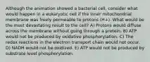 Although the animation showed a bacterial cell, consider what would happen in a eukaryotic cell if the inner mitochondrial membrane was freely permeable to protons (H+). What would be the most devastating result to the cell? A) Protons would diffuse across the membrane without going through a protein. B) ATP would not be produced by oxidative phosphorylation. C) The redox reactions in the electron transport chain would not occur. D) NADH would not be oxidized. E) ATP would not be produced by substrate level phosphorylation.