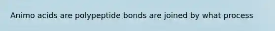 Animo acids are polypeptide bonds are joined by what process