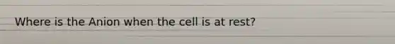 Where is the Anion when the cell is at rest?