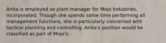 Anita is employed as plant manager for Mojo Industries, Incorporated. Though she spends some time performing all management functions, she is particularly concerned with tactical planning and controlling. Anita's position would be classified as part of Mojo's: