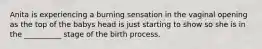 Anita is experiencing a burning sensation in the vaginal opening as the top of the babys head is just starting to show so she is in the __________ stage of the birth process.