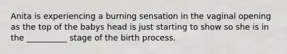 Anita is experiencing a burning sensation in the vaginal opening as the top of the babys head is just starting to show so she is in the __________ stage of the birth process.