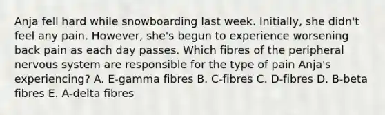 Anja fell hard while snowboarding last week. Initially, she didn't feel any pain. However, she's begun to experience worsening back pain as each day passes. Which fibres of the peripheral nervous system are responsible for the type of pain Anja's experiencing? A. E-gamma fibres B. C-fibres C. D-fibres D. B-beta fibres E. A-delta fibres