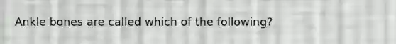 Ankle bones are called which of the following?