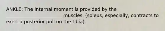 ANKLE: The internal moment is provided by the ________________________ muscles. (soleus, especially, contracts to exert a posterior pull on the tibia).