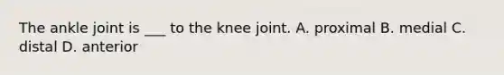 The ankle joint is ___ to the knee joint. A. proximal B. medial C. distal D. anterior