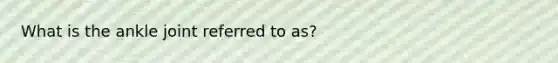 What is the ankle joint referred to as?