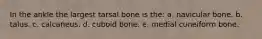 In the ankle the largest tarsal bone is the: a. navicular bone. b. talus. c. calcaneus. d. cuboid bone. e. medial cuneiform bone.