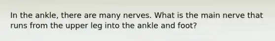 In the ankle, there are many nerves. What is the main nerve that runs from the upper leg into the ankle and foot?