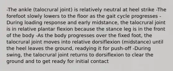 -The ankle (talocrural joint) is relatively neutral at heel strike -The forefoot slowly lowers to the floor as the gait cycle progresses -During loading response and early midstance, the talocrural joint is in relative plantar flexion because the stance leg is in the front of the body -As the body progresses over the fixed foot, the talocrural joint moves into relative dorsiflexion (midstance) until the heel leaves the ground, readying it for push-off -During swing, the talocrural joint returns to dorsiflexion to clear the ground and to get ready for initial contact