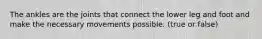 The ankles are the joints that connect the lower leg and foot and make the necessary movements possible. (true or false)