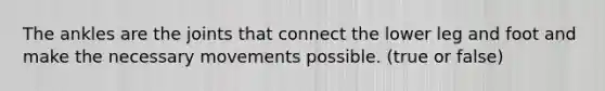 The ankles are the joints that connect the lower leg and foot and make the necessary movements possible. (true or false)