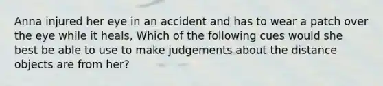 Anna injured her eye in an accident and has to wear a patch over the eye while it heals, Which of the following cues would she best be able to use to make judgements about the distance objects are from her?