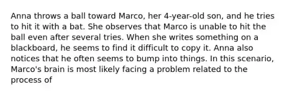 Anna throws a ball toward Marco, her 4-year-old son, and he tries to hit it with a bat. She observes that Marco is unable to hit the ball even after several tries. When she writes something on a blackboard, he seems to find it difficult to copy it. Anna also notices that he often seems to bump into things. In this scenario, Marco's brain is most likely facing a problem related to the process of