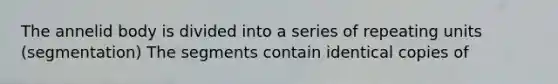 The annelid body is divided into a series of repeating units (segmentation) The segments contain identical copies of